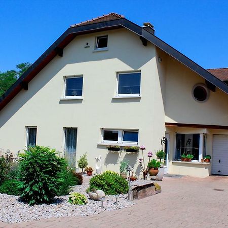 Grosszuegige Helle Ferienwohnung Bis 4 Personen In Chalampe, Elsass Екстериор снимка
